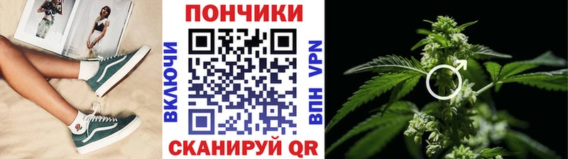 Купить закладку Южа Конопля Меф Альфа ПВП ГАШ